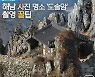 [여행honey] 해남 사진명소 '도솔암' 촬영 꿀팁