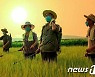 북한 각지에서 지난해 농사 경험 공유.."올해 목표 수행 담보"