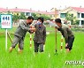 노동신문, 지난해 농사 경험 공유.."올해 목표 수행 담보"