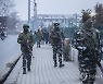 Virus Outbreak India Kashmir