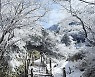 [포토] WE 호텔, 한라산 영실코스 겨울산행 패키지