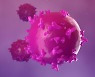 암세포 잡는 T세포 수용체 2개로 늘린다 (연구)