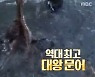 '안다행' 빡가·김종민, 대왕 문어와 힘 대결..역대급 사이즈에 경악