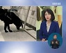 美 방역 파수꾼, 탐지견 '헌타와 듀크' 화제
