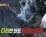 '안다행' 김종민, 역대 최고 대왕 문어 잡았다 "문어가 돌을 들었어!"