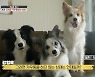 '개훌륭' 강형욱 "보호자 행동 이상할 때 갸우뚱? 농담이었다"