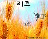 가슴 따뜻한 일본 원작 소설 '리트' 한국어판 연초에 출간
