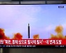 [속보] 합참 "북한, 평양 순안비행장 일대서 탄도미사일 2발 발사"