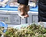 설 차례상 비용 대형마트보다 전통시장이 저렴
