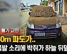 [통가 교민]