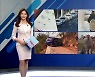 [인터넷 와글와글] "택시, 합승할 수 있다" 40년 만에 합법화..'앱'으로 '동성'끼리만 외 3가지 키워드