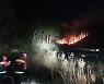 경북 영덕군 야산 불..1시간15분 만에 진화