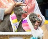 "아기 펭귄 세배받으면 복이 밀물처럼" 롯데월드 아쿠아리움