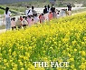 유채꽃 보러 소풍 나온 아이들 [포토]