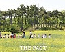 노란 유채꽃으로 물든 인천공항 하늘정원 [TF사진관]