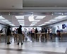 [Why] 애플 주가급락이 美 증시에 대형 악재인 이유