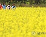 "겉옷 챙기세요"..내일 아침 10도 안팎 '쌀쌀'