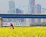 중부 '맑음' 남부 '구름'..내일은 전국 대체로 맑아