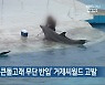 낙동강청, '큰돌고래 무단 반입' 거제씨월드 고발