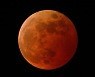 내일 '붉은 보름달' 뜬다..85분간 개기월식