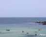 [오늘의 날씨]제주(15일, 일)..일교차 4~10도