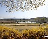 [오늘의 날씨] 대전·충남(15일, 금)..큰 일교차