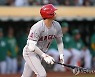 오타니, MLB 통산 100홈런 고지 등극