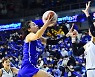 WKBL FA 보상선수 확정, 김소니아·김진영 신한은행행, 김애나 하나원큐행