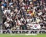 '손흥민 득점왕 도전' 토트넘, 케인 PK골로 번리에 전반 1-0 리드