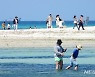 제주, 가끔 구름 많음..낮 기온 21도 내외