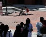 야외 공연으로 펼쳐지는 '전쟁반대 퍼포먼스 코리아'