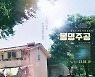 식물들이 남긴 유언.. 아파트의 비참한 현실 깨우치다