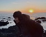 이병헌, 태양보다 밝은 건치 미소..♥이민정 또 반하겠어