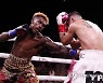 USA BOXING