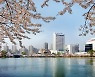 호텔롯데, 1분기 영업손실 1224억.."적자폭 확대"(1보)