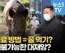 [영상] "기침이 나면 꿀 먹어라".. 北, 코로나 치료에 민간요법 소개