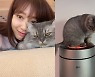 '♥최태준' 박신혜, 태교 중 무슨 일? "제발 올라가지마..너 무겁다고"
