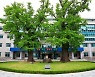 화순군, 10월 1일부터 '임업·산림공익직불사업' 시행