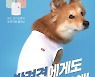 "댕댕아, 개리야스 입어볼래?" BYC, 반려견 위한 '쿨런닝' 출시