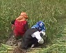 "제주 농민 생계 위기"..1차산업 정책 제안
