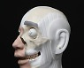 Hyungkoo Lee goes mad scientist in his latest exhibition