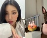 논란되니 이제 와서 사과?.. 자이언트핑크, 뒤늦은 입장문