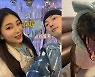 "우리 개 즉사했는데 애견카페 가다니" 폭로 ..자이언트 핑크 공개사과