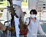 '참매의 날개짓'