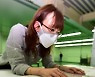 전국동시지방선거 투표용지 검수