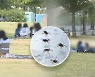 올해 울산서 첫 중증열성혈소판감소증후군(SFTS) 환자 발생?