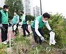 도봉구 새마을운동도봉구지회, 중랑천변서 '새마을 줍깅데이' 펼쳐