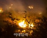 경북 경주 야산서 산불..2시간째 진화 작업