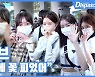 [현장영상] "공항에 꽃이 피었어"..아이브, 러블리 미모