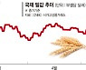 유엔, 빈곤국 식량난에 러-벨라루스와 협상 나서